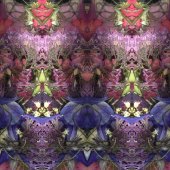 Julie L Lloyd - “Summer Flora” – julielloyjl@aol.com