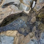 Julie Powell - “Rock Pool” – www.juliepowellphoto.com