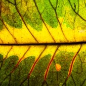 Ulla von Czekus - “Ways III” – www.ullastudio.com