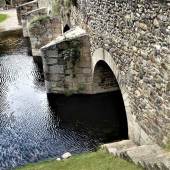 Perla Sofia Gonzalez - “Elements” – www.arteperlasofia.com