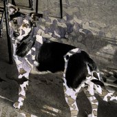 Lisa Powers - “The Good Dog” – www.lisapowers.com