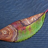 Kay McBeath - “Toyon Fish” – www.artpickle.com