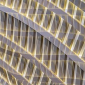 Eva Bane - “Streamlined Precision” – www.foreverphotos.com.au