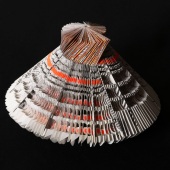 Kas Williams - “One Hundred and One Things” – www.kaswilliams.com