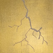 Gina Gray – "Perception" – www.science2artgg.com