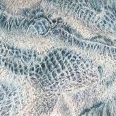 Charlene Moy – "Fugacious" – www.artworkarchive.com/profile/cmoy