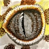 Bonnie Maldonado - “Nature's Fractal #1” – www.facebook.com/SkullsByBonnie