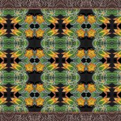 Dick and Rosanne - “Hawaiian Wallpaper” – www.dickandrosanne.com