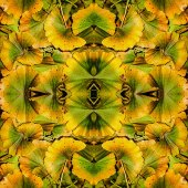 Dick and Rosanne - “Aerial View” – www.dickandrosanne.com