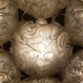 Tina Elizabeth Watson - “Fluff Balls” – www.in-a-snap-photography-2015.ueniweb.com/en-us/b/in-a-snap-photography-2015