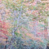 Therese Halscheid - “Mosaic Earth” – www.theresehalscheid.com