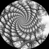 Sibel Sancar - “Spiral Twig” – www.artdoxa.com/users/digitalart/profile