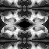 6th Place – Dorothy Palm - “Abbie” – www.dorothypalm.com