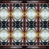 Hon. Mention – Dick and Rosanne - “Night Blooming Creatures” – www.dickandrosanne.com