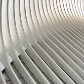 Hon. Mention - Sandy Friedkin - “From The Oculus” – www.sandyfriedkin1942.viewbug.com