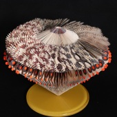 5th Place – Kas Williams - “Bird on a Wire” – www.kaswilliams.com