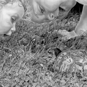 Patti Bradeis – “Creature Wonders” - www.belovedportraitsbypatti.com