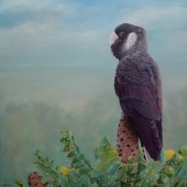 Paula Wiegmink – “I Can See Clearly Now” - www.paulawiegmink.com.au