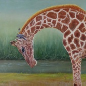 Paula Wiegmink – “Not Alone” - www.paulawiegmink.com.au