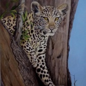 Paula Wiegmink – “On Guard” - www.paulawiegmink.com.au