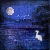 Barbara Mierau-Klein - “Blue Night” – www.barbaramierauklein.com