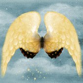 Roxana Ferllini - “Angel Wings 5” – www.roxanaferllini.com