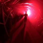 Carlos Bueno Vieira - “The Way” – www.cbuenov.com