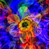 Jim Dester - “The Blue Vale” – www.desterimages.threadless.com