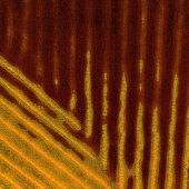 CC Herkes - “Meetings” – www.wrapthecause.com.au