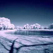 Jim Dester - “Blue Pond” – www.desterimages.threadless.com