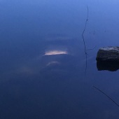 Jim Cole - “Morning Light” – www.ffrrfr.com