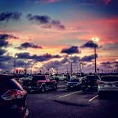 Merriah Jackson - “Contemporary Forest” – www.sliceofriah.com