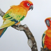 Denise Norman - “Out Came the Sun” – denise17orman@oulook.com