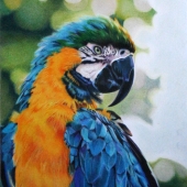 Denise Norman - “Golden Life” – denise17orman@oulook.com