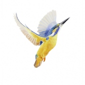 Alan Taylor - “Flight of the Kingfisher” – http://www.alantaylorart.co.uk/