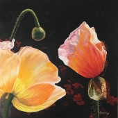 Cecily Slade - “Glow” – http://www.cecilyslade.com/