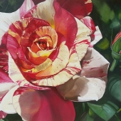 Marcia Pyner - “The Rose” – http://www.marciapyner.com/