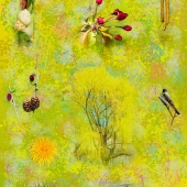 Petras Paulauskas - “Seasons - Springtime” – https://www.saatchiart.com/pitofotos_prints