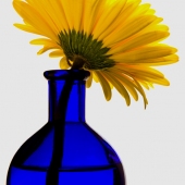 John Diephouse - “Yellow on Blue” – jdiephouse@gmail.com