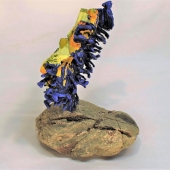 Tom Krempa - “Blue and Yellow Sea Slug” – http://www.tomkrempa.com/