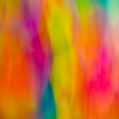 Robert Nowak - “Fall Aflame” – http://www.robertnowakphotography.com/