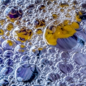 Eleanor Briccetti - “Bubbles” – http://briccettiphoto.com/