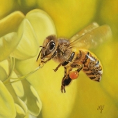 10th Place – Marie-Jeanne Fawer - “Maya” – www.mjfawer.ch