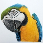 6th Place – Chantal Marcotte - “Coloré comme Trujillo” – www.facebook.com/ArtByChantalMarcotte