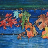 Hon. Mention - Pamela Clements - “Primary Season” – www.apurpleleaf.com