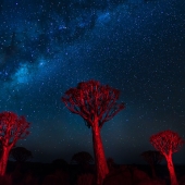 4th Place – Ali Khataw - “The Quiver Night” – www.khataw.com