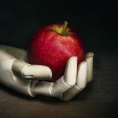 9th Place – Julie Powell - “Red Apple” – www.juliepowellphoto.com