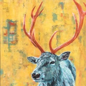 Rachel Hurst - “Primary Buck” – www.rachelhurstfineart.com