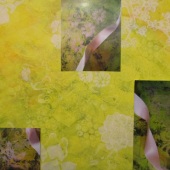 Beth McCoy - “Canaries at Dawn” – www.lenabethe.com