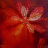 Vasu Tolia - “Divergence” – www.vasutolia.com